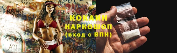 прущие грибы Аркадак
