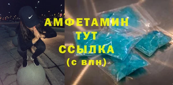 прущие грибы Аркадак