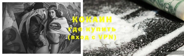 прущие грибы Аркадак