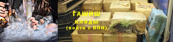 прущие грибы Аркадак