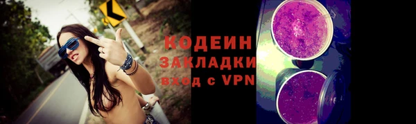 прущие грибы Аркадак