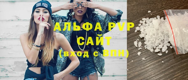 прущие грибы Аркадак