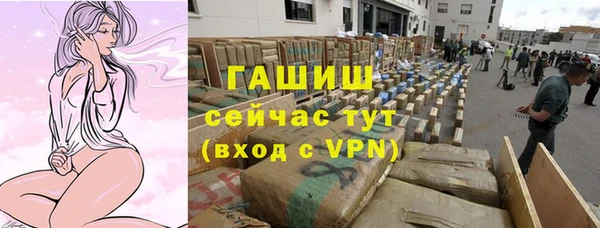 прущие грибы Аркадак
