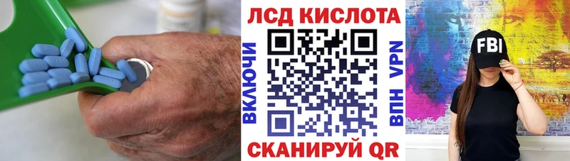 магазин продажи наркотиков  кракен сайт  LSD-25 экстази ecstasy  Бабаево 