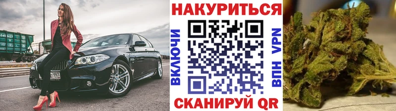 Конопля OG Kush  Бабаево 